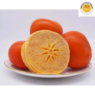 Freeze Dried Persimmon