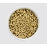 Maris Otter (500 grams / bag)- Muntons