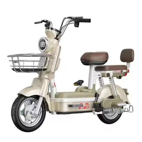 350W 500W 48V 20AH 24AH City Commuting Electric Bike 2 Seater Electric Bicycle Adult Electric Bike