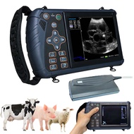 Portable Veterinary Ultrasound Machine Backfat Thickness Vet B-Ultra Scanner Waterproof 3.5MHz Probe