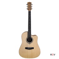 ORIGINAL Dluxe DW-110 and D-110 Acoustic Guitar