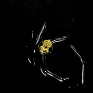 Paseris - Double Love Women's Gold Plated Ring (Cap 875)