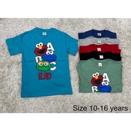 elmo t - shirt 2-16ys