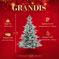 ต้นคริสต์มาส 210 cm. Grandis Fir Snowy - Christmas Tree