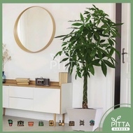 Felton Square Flower Pot 2491/2492