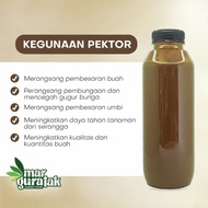 Baru Paket Pasmo Dan Pektor