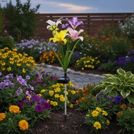 VEXUS Solar Garden Lights, Flower Decor Waterproof Outdoor Garden Lights, Butterfly Iris Ground-Moun