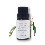 Aster Aroma 有機窄葉薄荷尤加利純香薰精油 10ml Fixed Size
