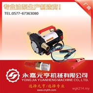 DC DC 12V24V Car Oil Pump 12V24V Portable Supply Oil Pump DC Pump/Car V3E2