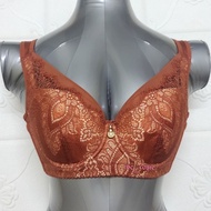 32D/70D QIANYAN PLUS SIZE BRA WIRED BRONZE