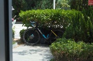 Wilier Garda