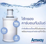 ชุดไส้กรองคาร์บอนกัมมันต์และหลอดอุลตร้าไวโอเล็ท สำหรับเครื่องกรองน้ำ eSpring แอมเวย์ (ขนาด 1 ชิ้น)