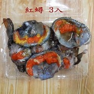 【海鮮7-11】 活凍紅蟳 3入裝  *已殺清 蟹卵、蟹肉飽滿紮實。 **每盒330元**