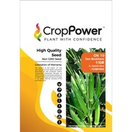 Benih Bendi OK 10 Ten Brothers F1 Hybrid Okra Crop Power - ( 200g ) 👍 💯