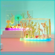 HAP Light Base Mold Rectangular Silicone Mold Kit Include USB Cable for DIY LED Lamp Ornaments Home 