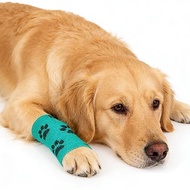 Self-Adhesive Dog Bandage Non-Woven Cohesive Bandage for Pet Leg Wounds Paw Protection Spo