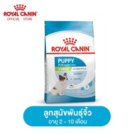 Royal Canin X-Small Puppy โรยัล คานิน อาหารเม็ดลูกสุนัข พันธุ์จิ๋ว อายุ 2-10 เดือน (กดเลือกขนาดได้ Dry Dog Food)