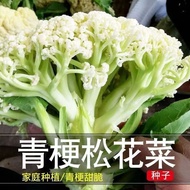 Green Stem Cauliflower Seeds Pine Cauliflower Seeds Cauliflower Seeds Cauliflower Seeds Brown Caulif