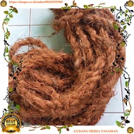 MEDIA coconut fiberTALI large coconut fiberTALI 2cm MEDIA