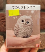 Bandai 掌上動物 No.1 貓頭鷹 盲盒 扭蛋