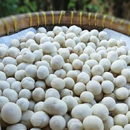 Sukro Cikur 250g Atom Oven Peanuts Pilus Cikur Original Snack FoodCemilan