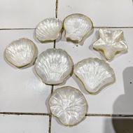 Small Shell Plate Mini Shell Plate Decorative Trinket Tray - ARS07