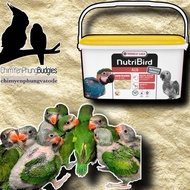 NutriBird A19 Powder – Premium Nutrition for Young Parrots – New Date, Quick Mix