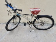 Dahon Latte 摺疊單車