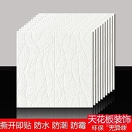 Living Room3d Sticker Roof Surface 3D Ceiling Bedroom Decoration Self-Adhesive Wallpaper Wall Sticke