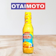 dutchland sos nancos cheese