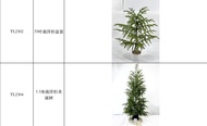 仿真聖誕樹盆景擺設
