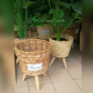 💜NEW ARRIVAL💜BASKET/BAKUL/PASU BERKAKI FOR SKYBIRD BANANA PISANG ARTIFICIAL PLANT POKOK HIASAN