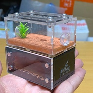 Ant Tank, Ant Nest, Vertical Plaster Ant Breeding Box, Ant Farming Cage, mini Ant Nest - A14