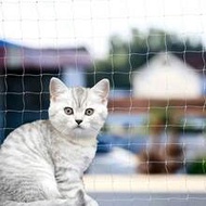 Cat Netting For Balcony, Cat Netting Anti-Fall Mesh Fence, Anti Bird Netting For Garden/Balcony, Tra