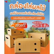 Fruit Box (Pack Of 10) Number C + 9 E D + 11 S + M + G L 5-Layer Thick Great Value.