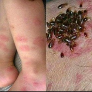 CAMAY REPELLENT SPRAY ORGANIC