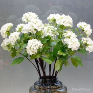 Hydrangea Simulation 3 Small Hydrangea Lucky Hydrangea Home Hotel Soft Decoration Floral Wedding Dec