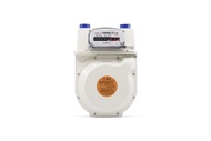 DAESUNG Diaphragm Gas Meter G6 for LPG / NG