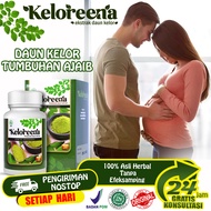 Obat Penyubur Sperma Pria Agar Punya Anak Promil Perbanyak Sperma Vitamim Penyubur Sperma Peria dan