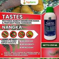 Obat Semprot Buah Nangka Busuk / Obat Semprot Buah Nangka / Obat Penyubur Pohon Nangka / Obat Lalat 
