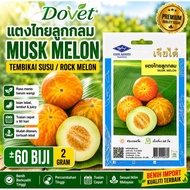 🍈 Benih Melon Thai Bulat | Thai Musk Melon | Tembikai Susu Thai