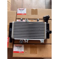 SYM 💯 ORIGINAL 19010-VF3-000 VF3i RADIATOR COMP TANGKI AIR