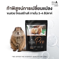 PDA nutri pro 1 kg. อาหารเม็ดสูตรที่ดีที่สุดสำหรับแพรี่ด็อก เป็นแหล่งคุณอาหารที่ดี ช่วยเรื่องระบบทาง