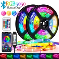 LED Light Strip Light With Remote For Room Bedroom RGB Flexible Light
