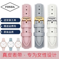 Fossil Fosil Watch Strap Ladies Genuine Leather Pink Non-Grain Pin Buckle First Layer Cowhide Bracelet 12 14 16mm