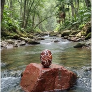 Elephant Graham Stone