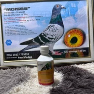 Victery Vitamin B12 Liver Solution