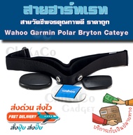 อะไหล่ สายคาดอก สายคาดหน้าอก สายรัด วัดชีพจร Garmin Polar Wahoo Bryton Cateye Coospo HeartRate Monit