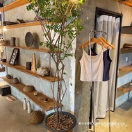 Log Flat Partition Wall-Mounted Display Rack Clothing Store Shoe Rack Bag Storage Rack Wall Laminate