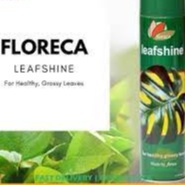 Floreca Leaf Shine Spray (600ml)